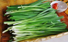 【知识篇】春天不可少的美食：韭菜